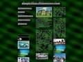 Single Male Millionaires